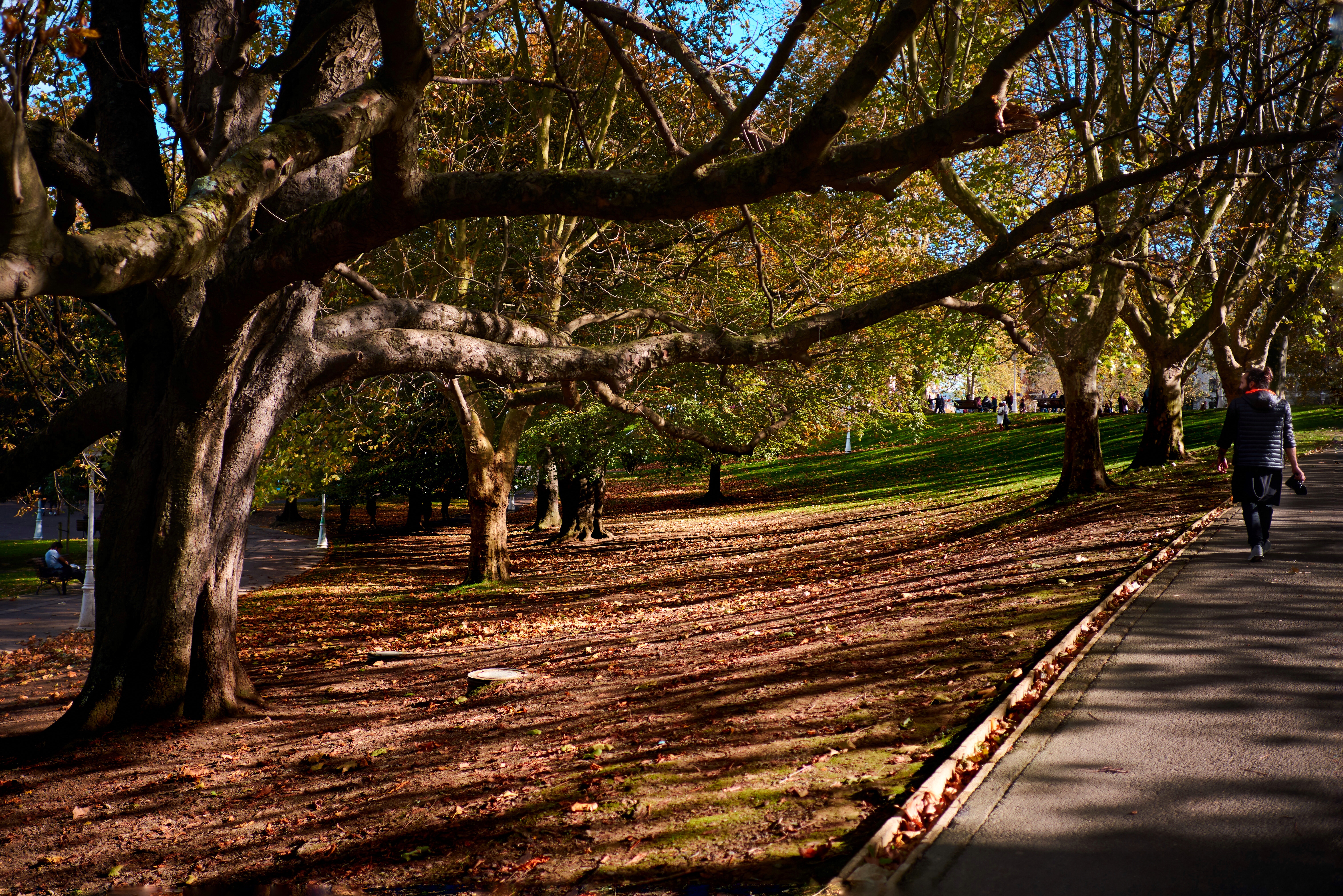 2018-11-BILBAO-FUJI-