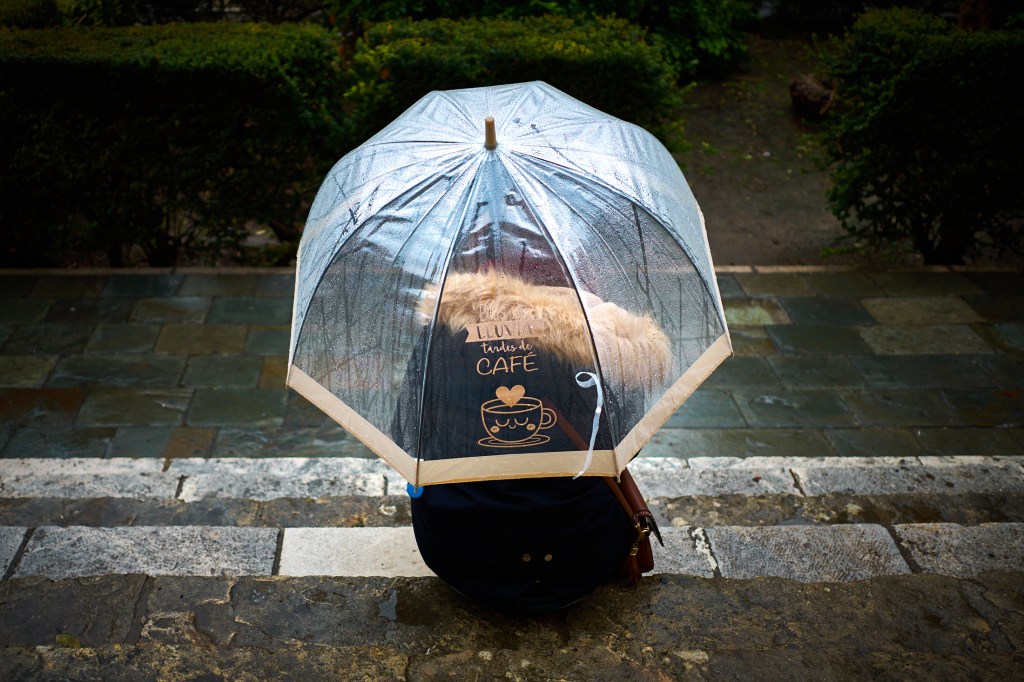 Así fue el Taller de Street Photography en Sevilla Nov.&nbsp;2019