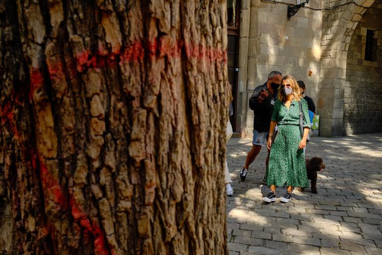 Taller de Fotografia de Calle en Barcelona