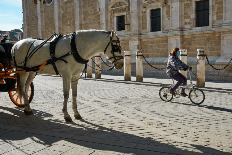 cursos y talleres de fotografia en Sevilla con Rober tomas