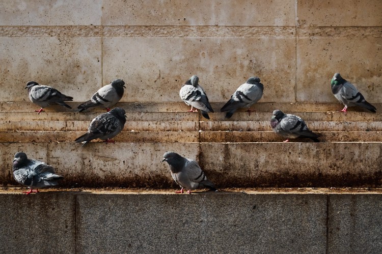 Taller de fotografía de calle en Madrid http://robertomasfoto.com 