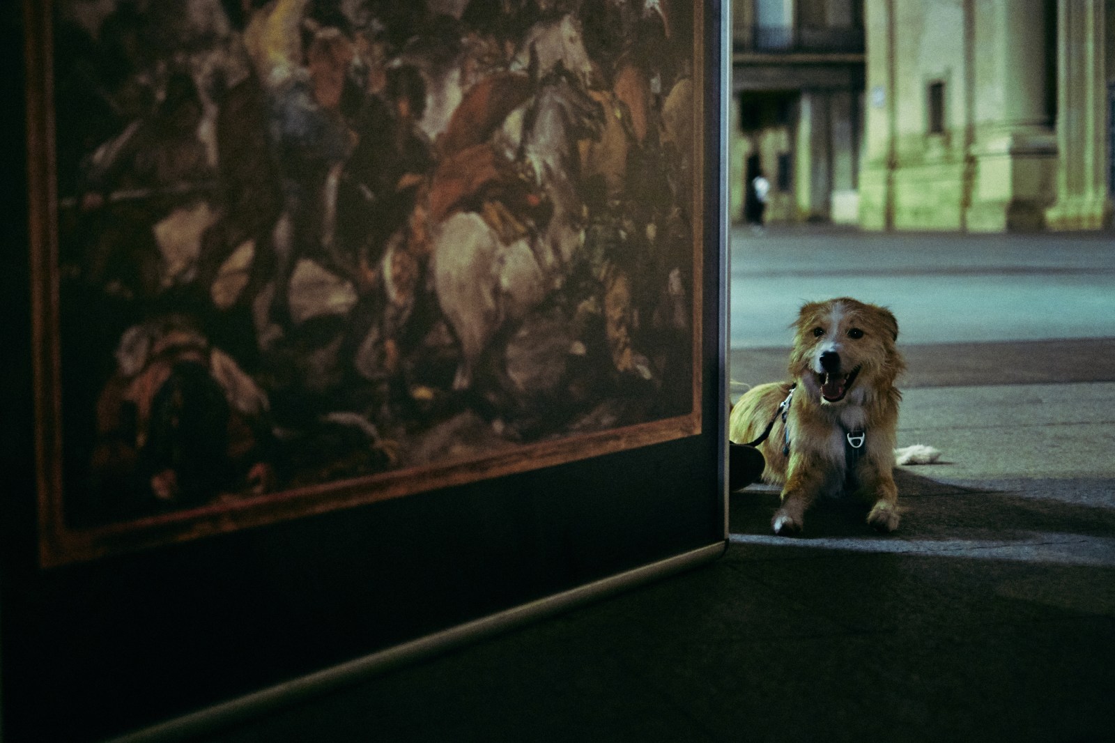 Fotografía de Calle nocturna en Zaragoza con Rober Tomas http://robertomasfoto.com 