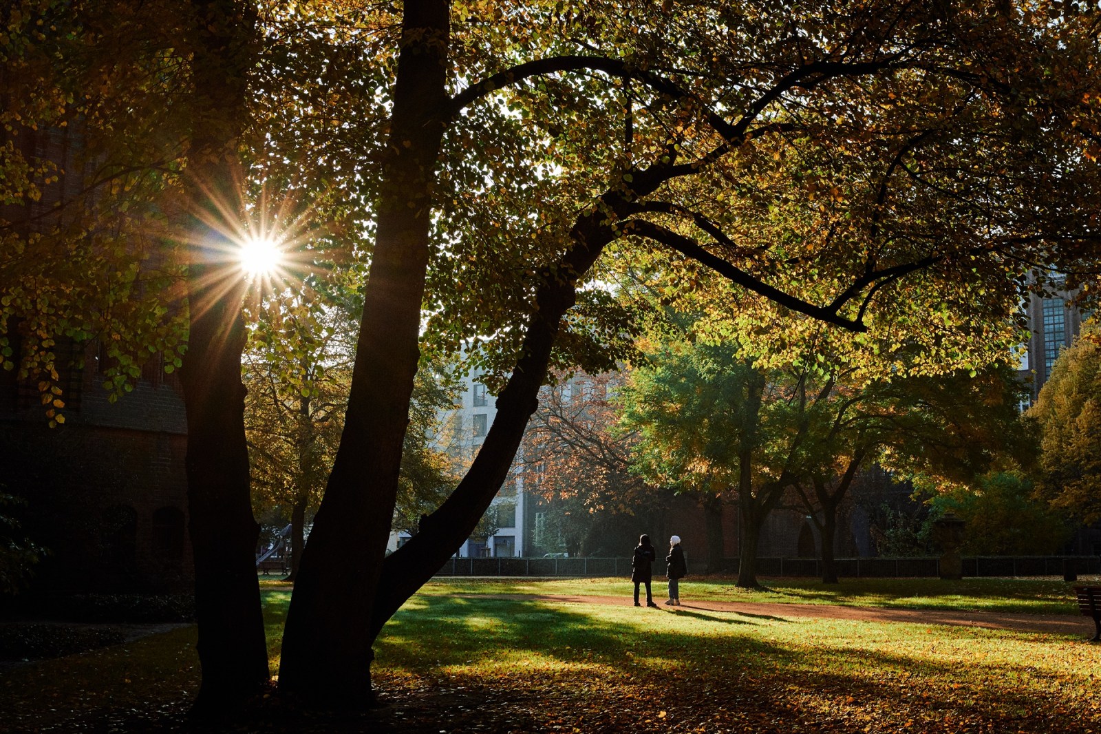 Taller de fotografía de calle Rober Tomás en Berlín - Alemania http://robertomasfoto.com 