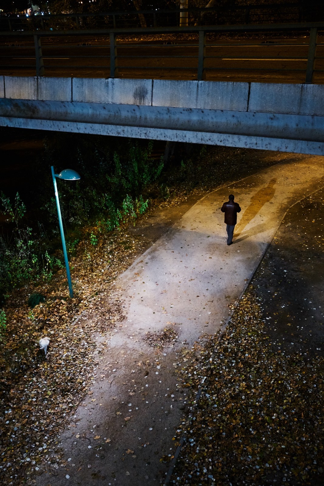 Talleres de Fotografia de Calle en Zaragoza con Rober Tomás, http://robertomasfoto.com 