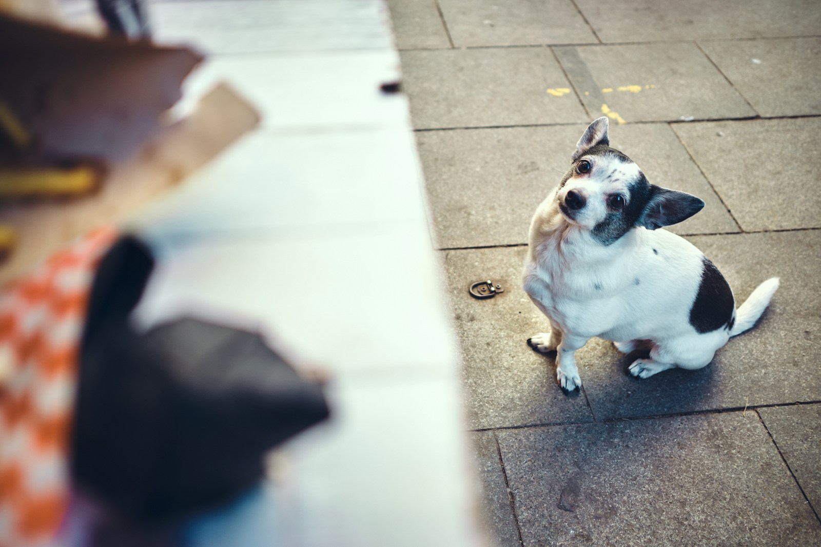 Rober Tomás Fotografía
http://robertomasfoto.com 
Barcelona 2022 Talleres de Fotografía