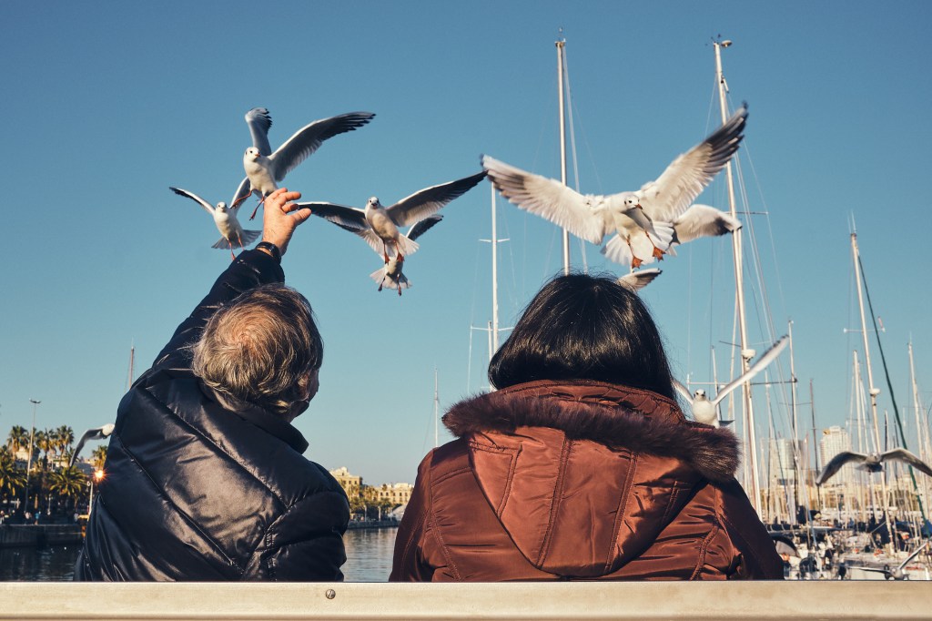 Rober Tomás Fotografía http://robertomasfoto.com Barcelona 2022 Talleres de Fotografía
