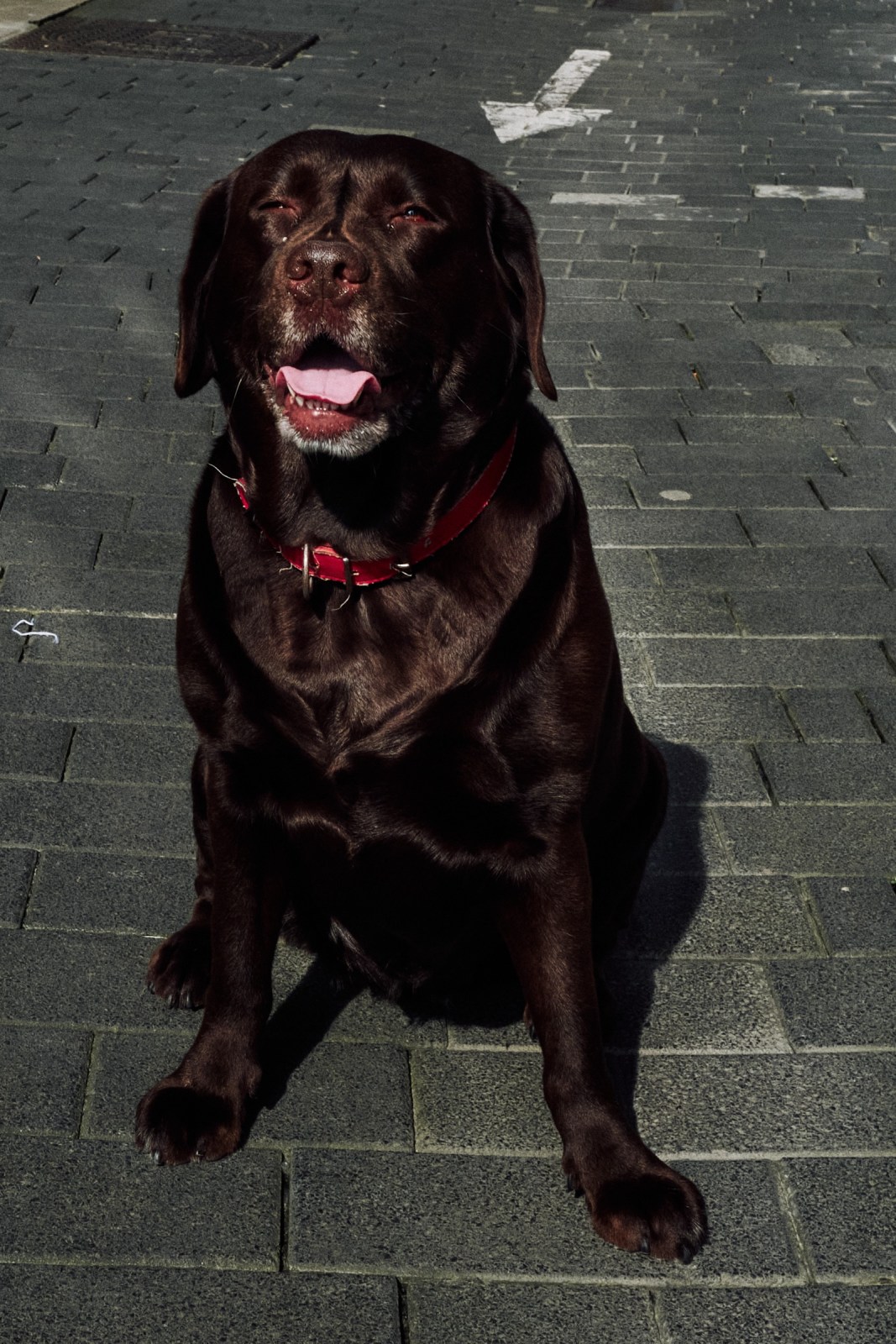 Talleres y Cursos Fotografía en San Sebastián (Donostia) con Rober Tomás en http://robertomasfoto.com 