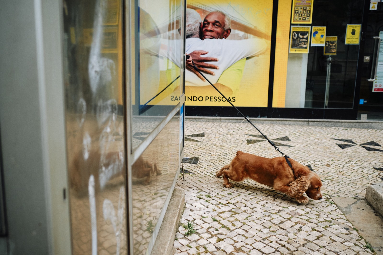 Taller de fotografía de calle en Lisboa. (Portugal) con Rober Tomás en http://robertomasfoto.com 