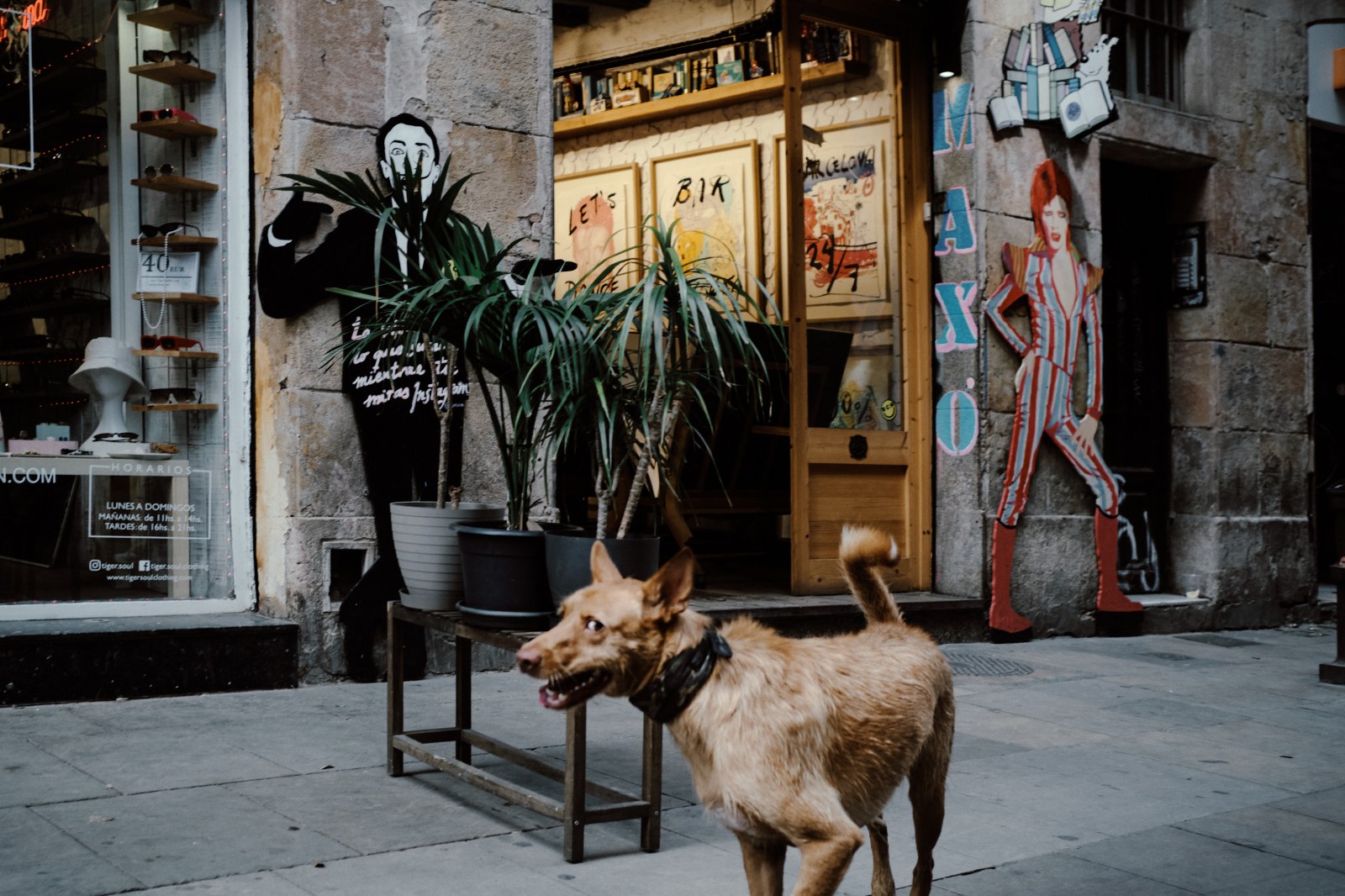 Talleres y Cursos de Fotografia de Calle en Barcelona con Rober Tomás en http://robertomasfoto.com 