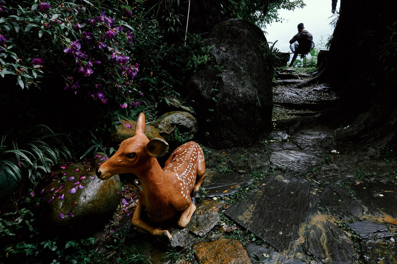 Taller Fotográfico en Vietnam con Rober Tomás y Nadaincluido.com