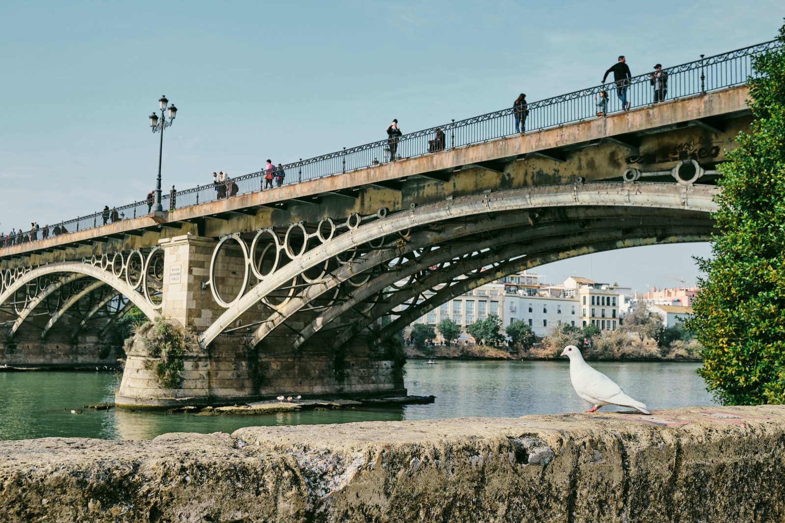 Taller y curso de fotografia de calle en Sevilla Rober Tomás