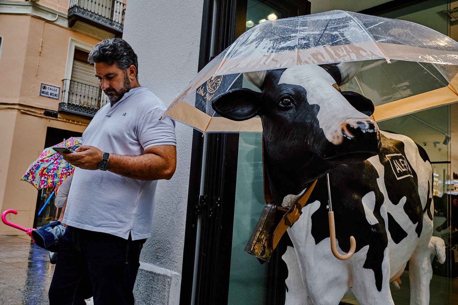 Talleres y Cursos de Fotografía en Zaragoza con Rober Tomás en http://robertomasfoto.com 