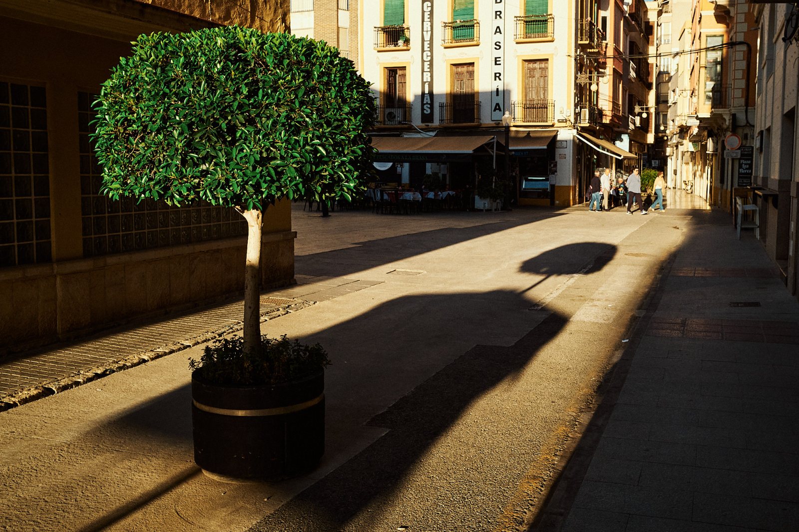 Taller de Fotografía de Calle en Elche con Rober Tomas en http://robertomasfoto.com 