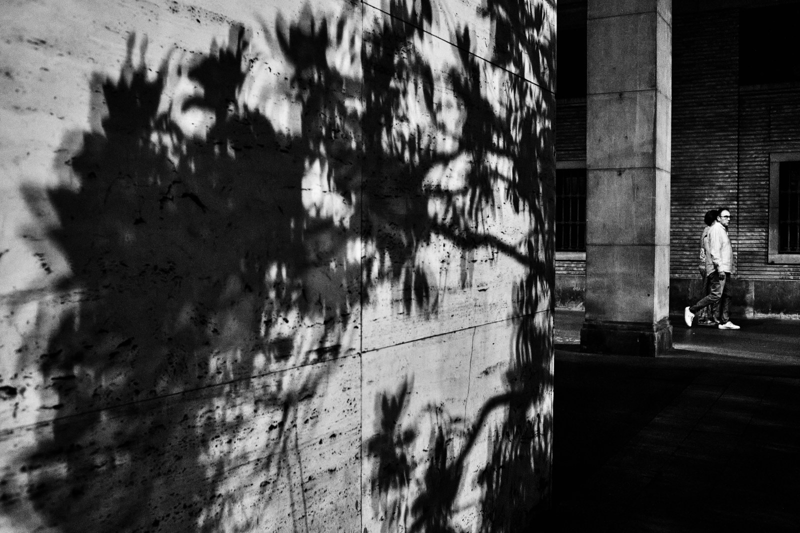 talleres y cursos de fotografia en Zaragoza con Rober Tomas