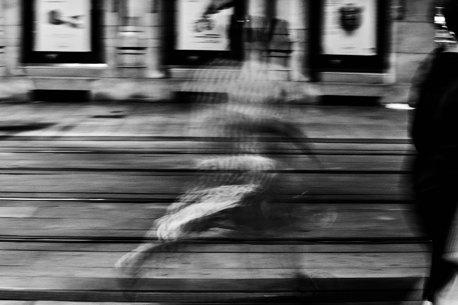 talleres y cursos de fotografia en Zaragoza con Rober Tomas