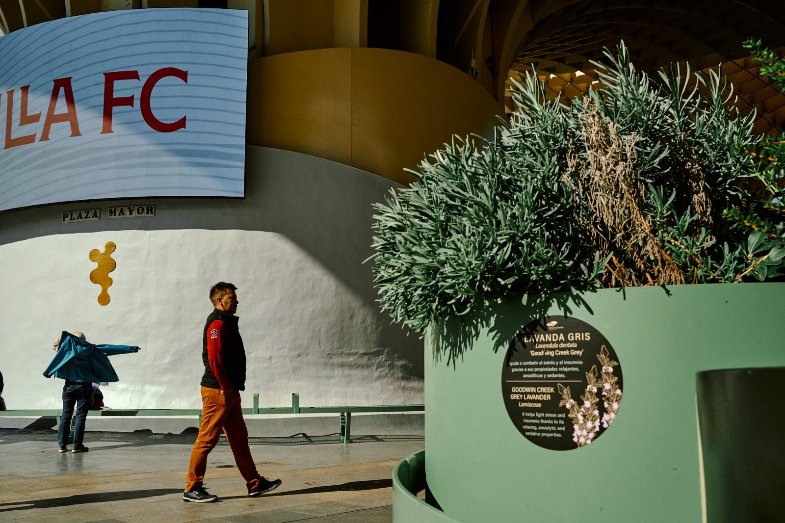 Talleres y cursos de fotografía de calle en Sevilla con Rober Tomas en http://robertomasfoto.com 