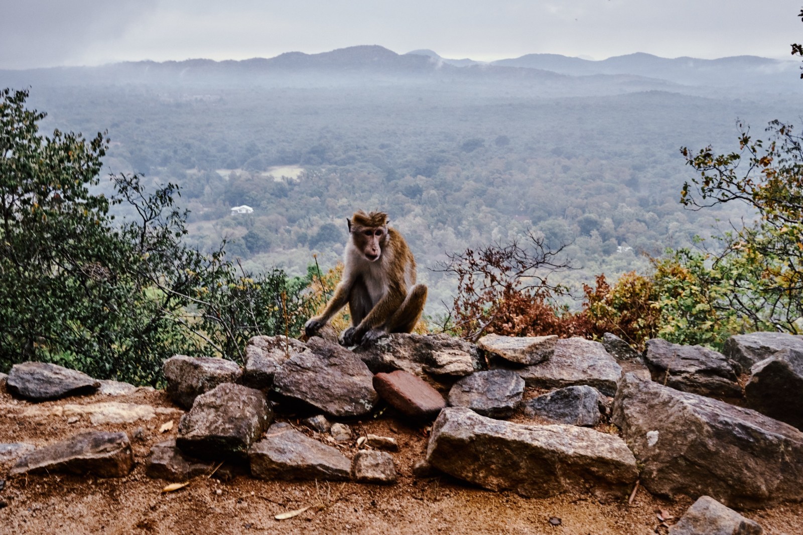 Viaje fotográfico a Sri Lanka con Rober Tomás y Sergio Otegui de Nadainlcuido.com