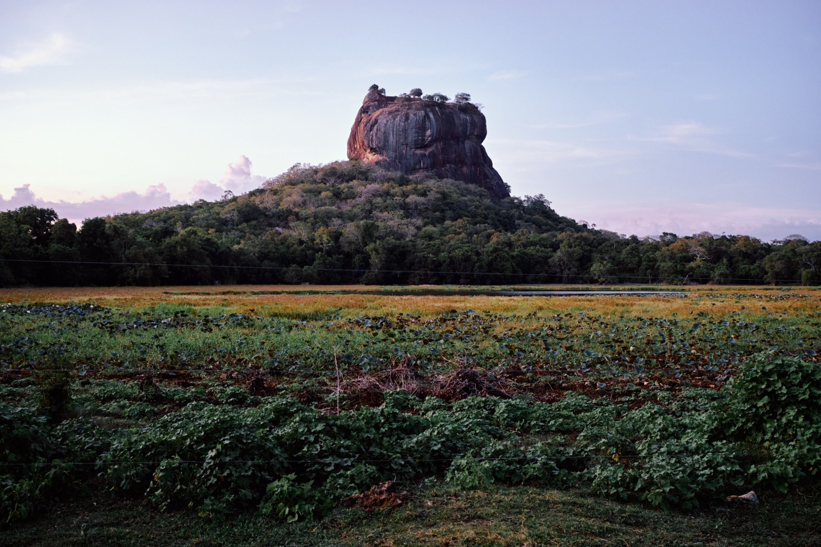Viaje fotográfico a Sri Lanka con Rober Tomás y Sergio Otegui de Nadainlcuido.com