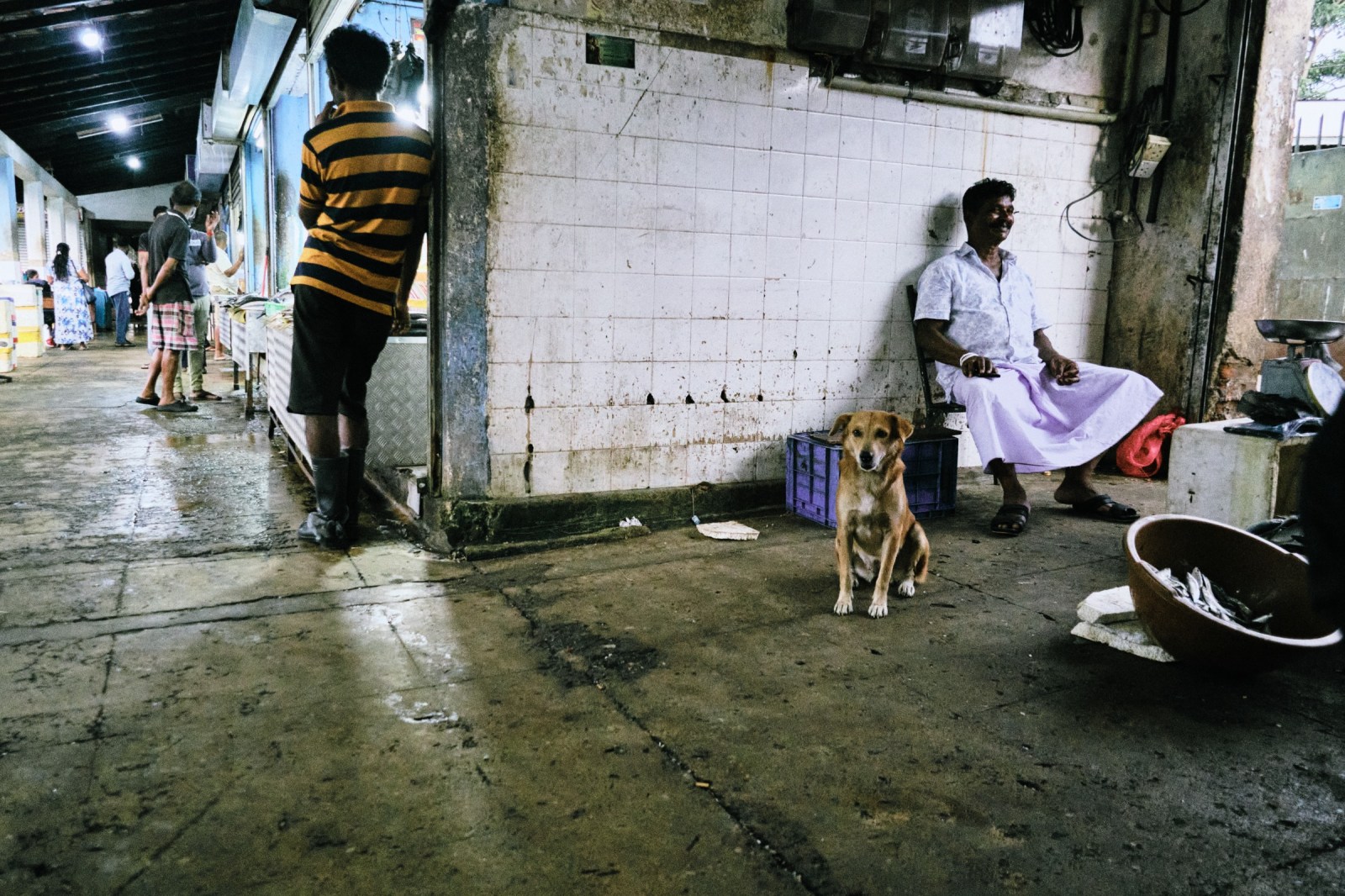 Viaje fotográfico a Sri Lanka con Rober Tomás y Sergio Otegui de Nadainlcuido.com