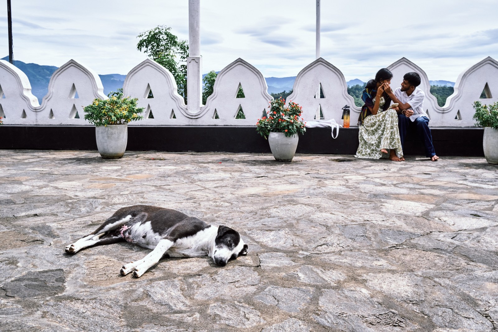 Viaje fotográfico a Sri Lanka con Rober Tomás y Sergio Otegui de Nadainlcuido.com