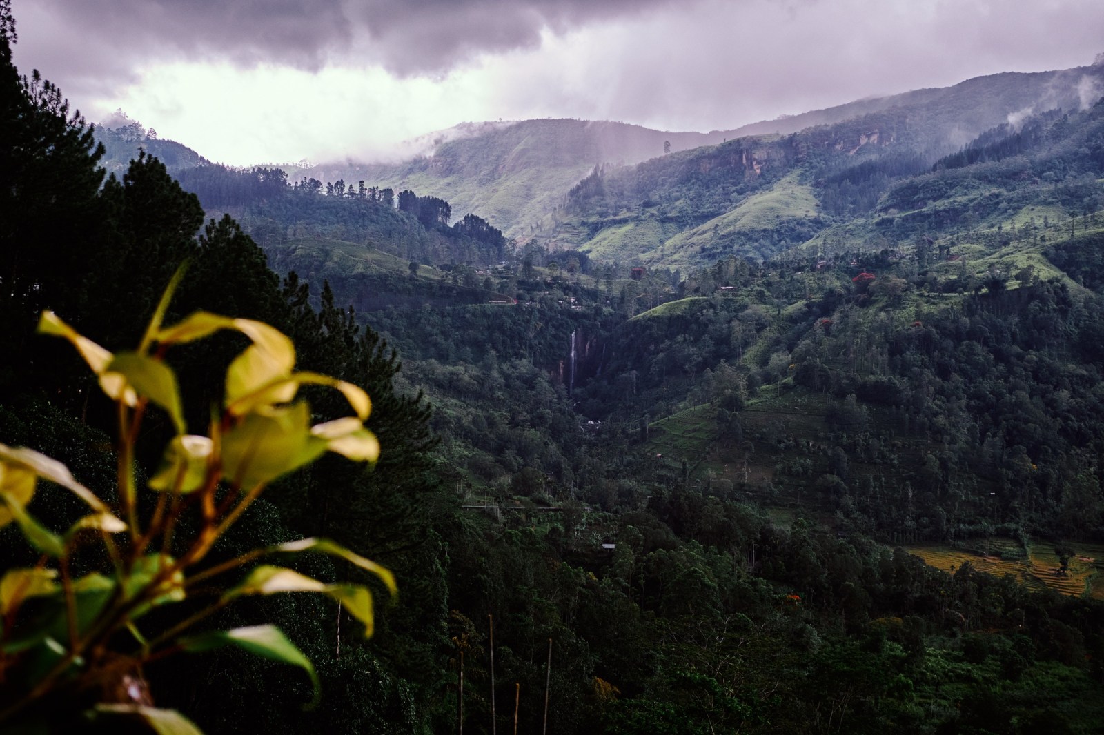 Viaje fotográfico a Sri Lanka con Rober Tomás y Sergio Otegui de Nadainlcuido.com