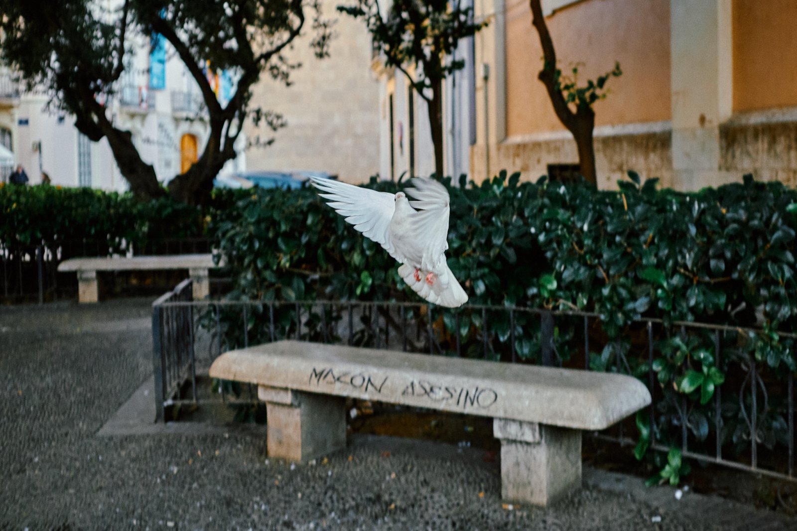 Taller de fotografia de calle en Valencia con Rober Tomás en http://robertomasfoto.com 