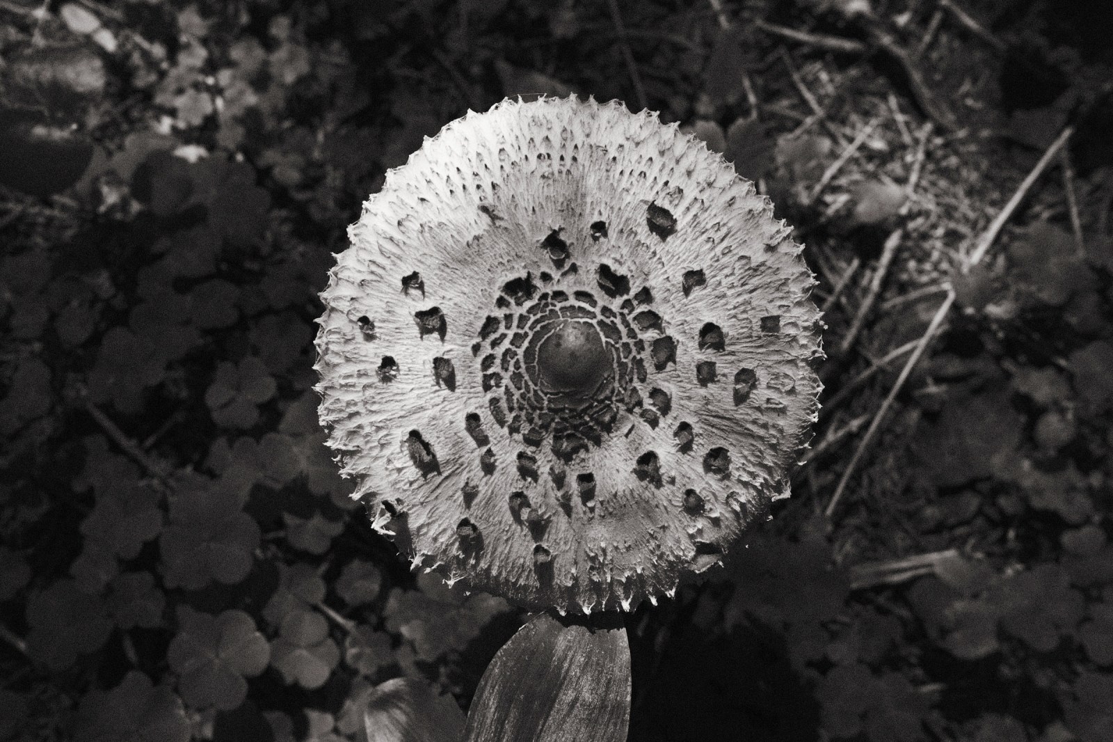 Viaje fotografico a Bosnia Herzegovina con Rober Tomás