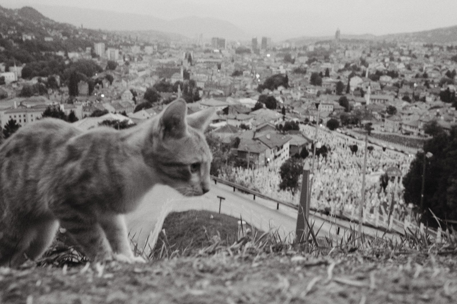 Viaje fotografico a Bosnia Herzegovina con Rober Tomás