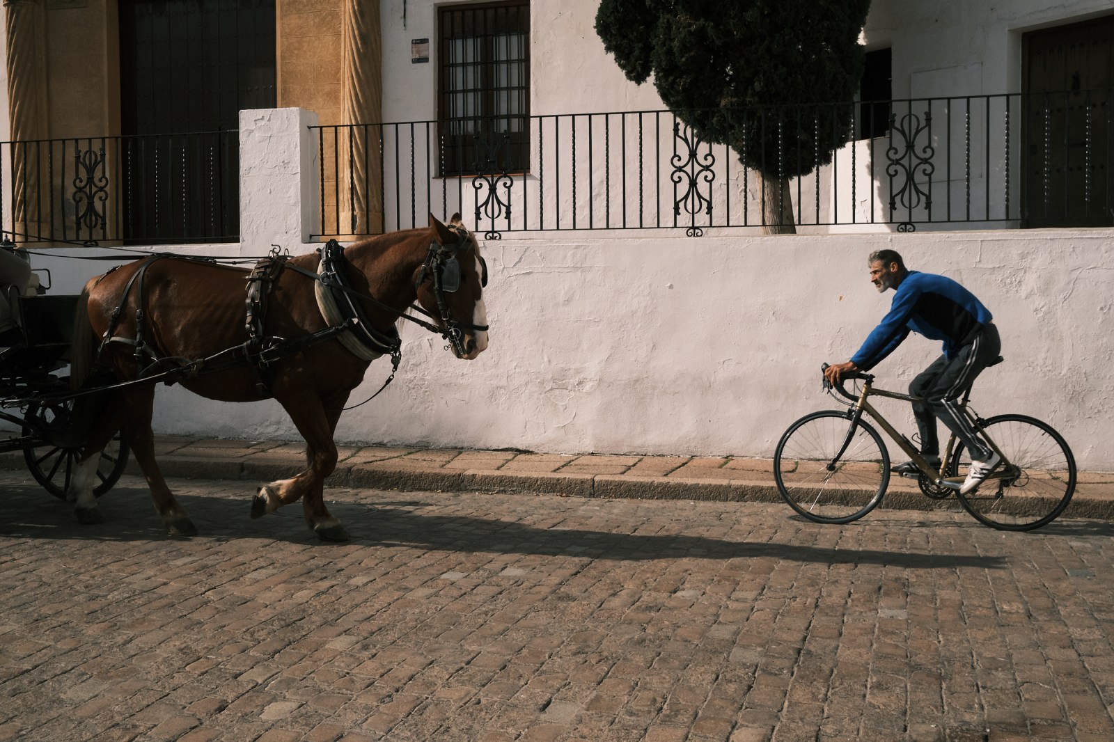 Talleres y cursos de fotografia de calle con Rober Tomas en http://robertomasfoto.com en Córdoba y Andalucia